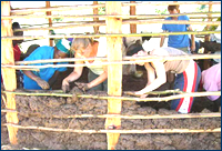 Africa Orphanages Voluntary Organisation